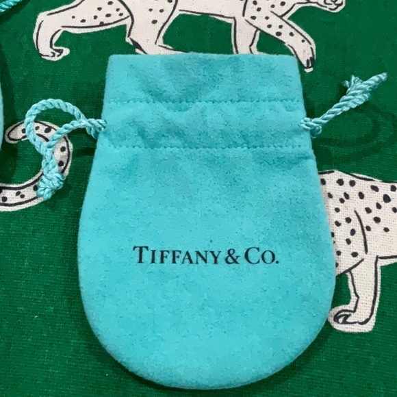 Authentic Tiffany & Co. Jewelry pouch - Picture 1 of 8